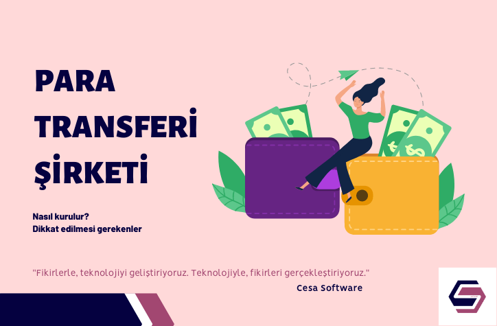 Para Transfer Şirketi Kurmak